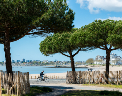 notaire st nazaire albugues